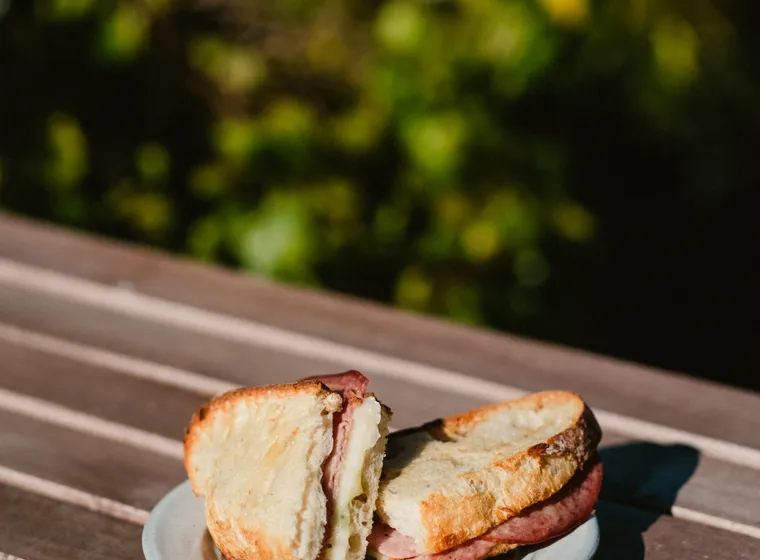 Hot sandwich with ham and cheese